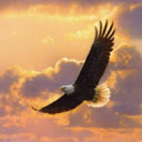 fly4eversxakg