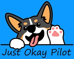 JustOkayPilot