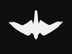 Windhover