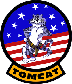 tomcat