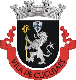 vicoco