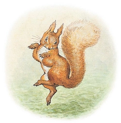 Nutkinthe3rd