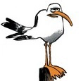 Zepingouin35
