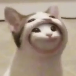 chickpoint