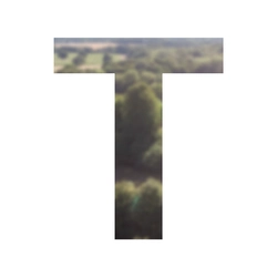 tyler58546