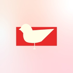 SBdesign