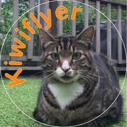 kiwiflyer
