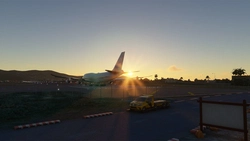 ZEM502