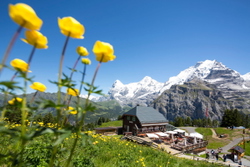 3825_Murren