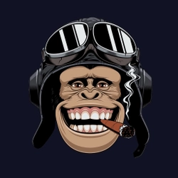 MonkeyP