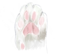 CatAir_One