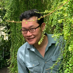 mangosprout