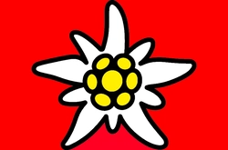 Terranius