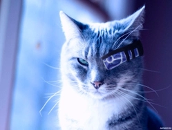 serh49