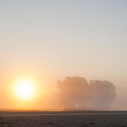 Foggy