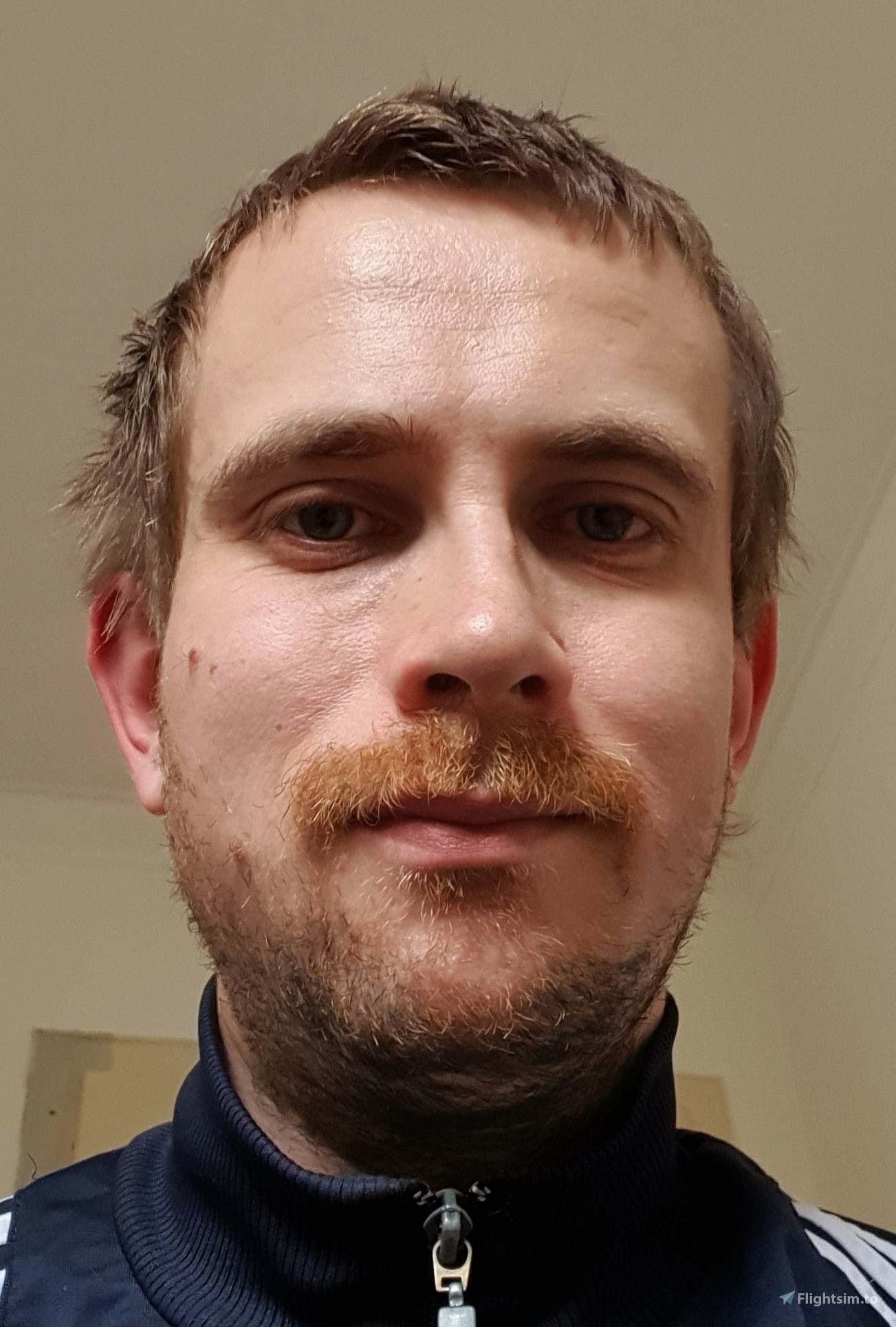 Flightsim to Upgrade To Premium