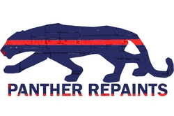 PantherRepaints