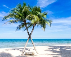 caribbeansky