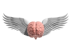 Brainflight