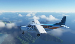 collinda37
