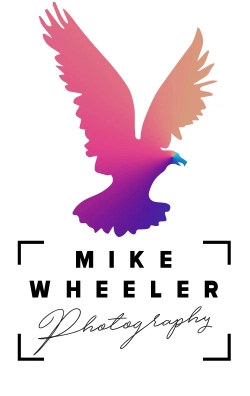 mike229