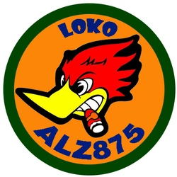 Loko875