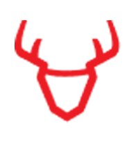 The Rudolf