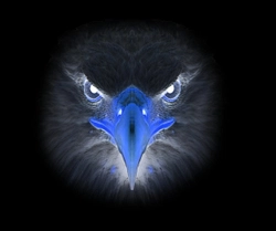 Strikeeagle345