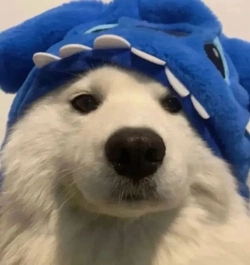 OtavioBugin