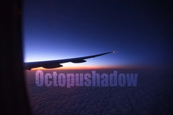 octopushadow