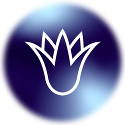 LotusDesigns