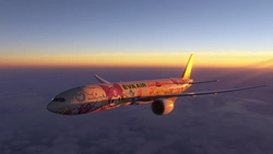 kuo787-9