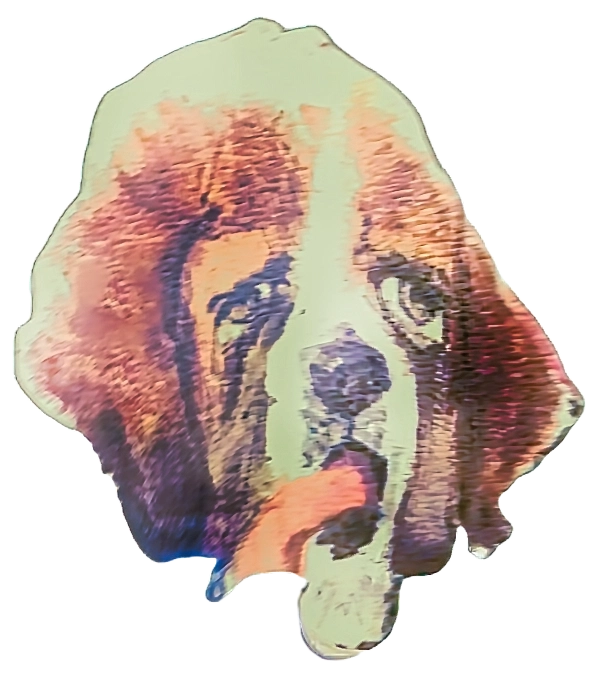 Zurvynel