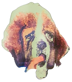 Zurvynel