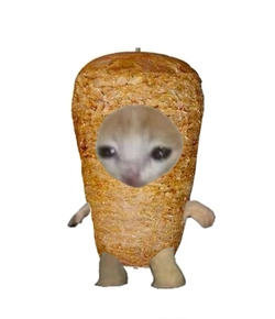 VasyDzn