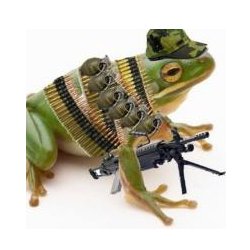 fearlessfrog