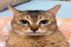 MlodyM