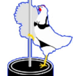 CHICKENSTRIP23