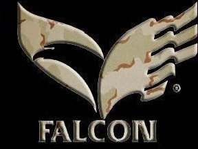 FalconFSim25
