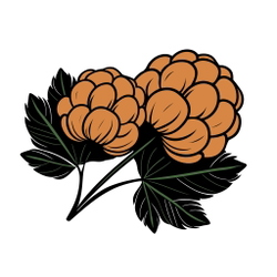 Cloudberry Creations
