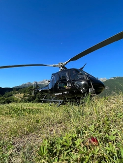 PilotMARKO