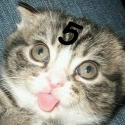 CatFive