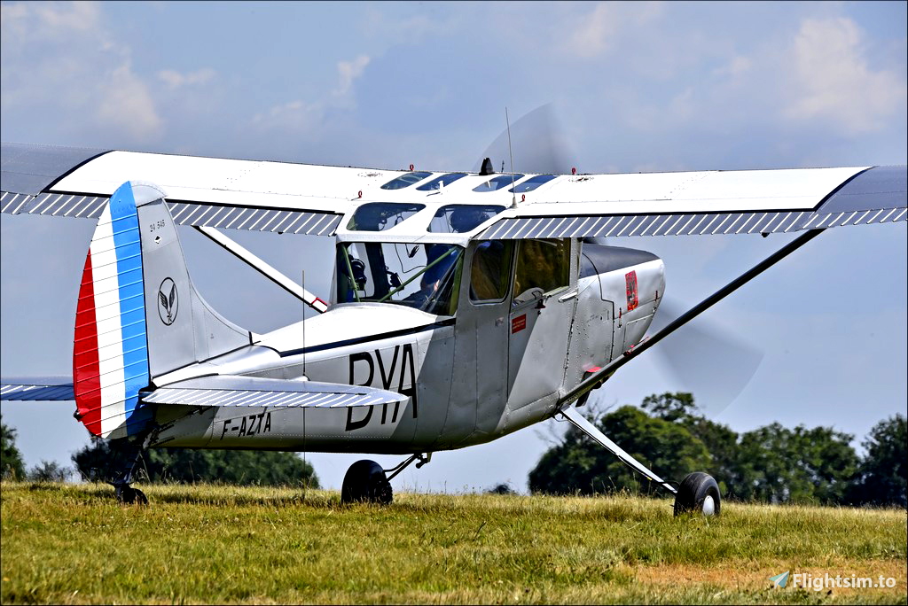 1/8 Echelle Électrique Cessna L-19 Oiseau Chien Plans