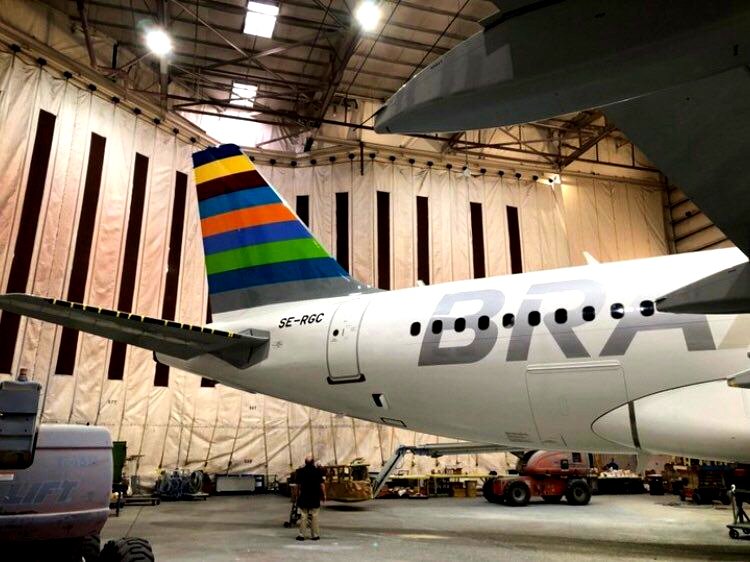 Se Rgc Liveries Requests - (BRA) Braathens A319 SE-RGC - Flightsim.to