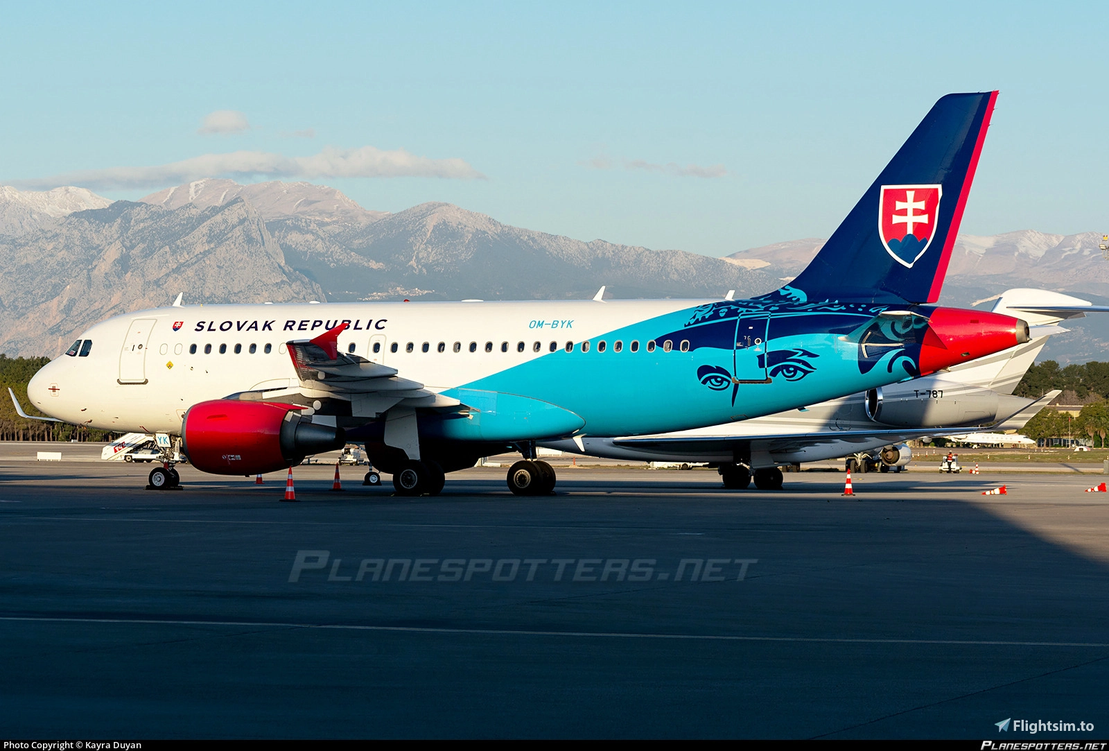Fenix A319 Slovak Government Flying Service OM-BYA, OM-BYK