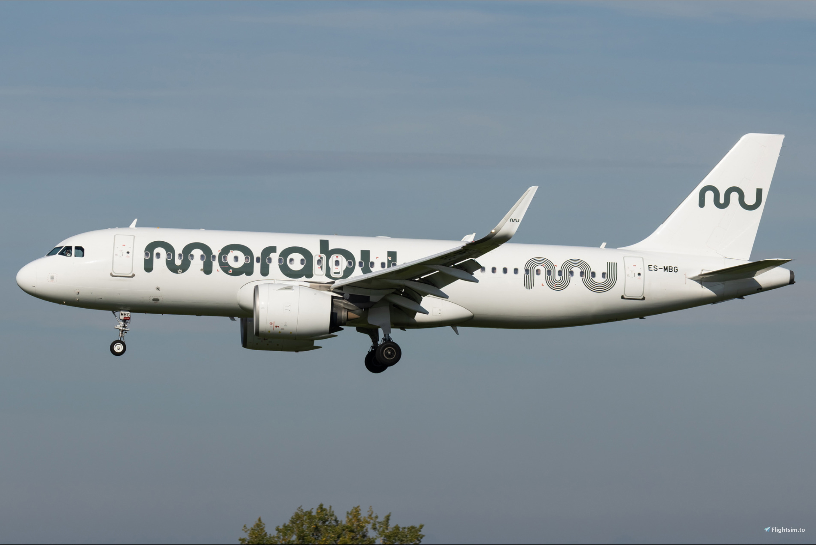 Marabu FBW A32NX livery for MSFS2024