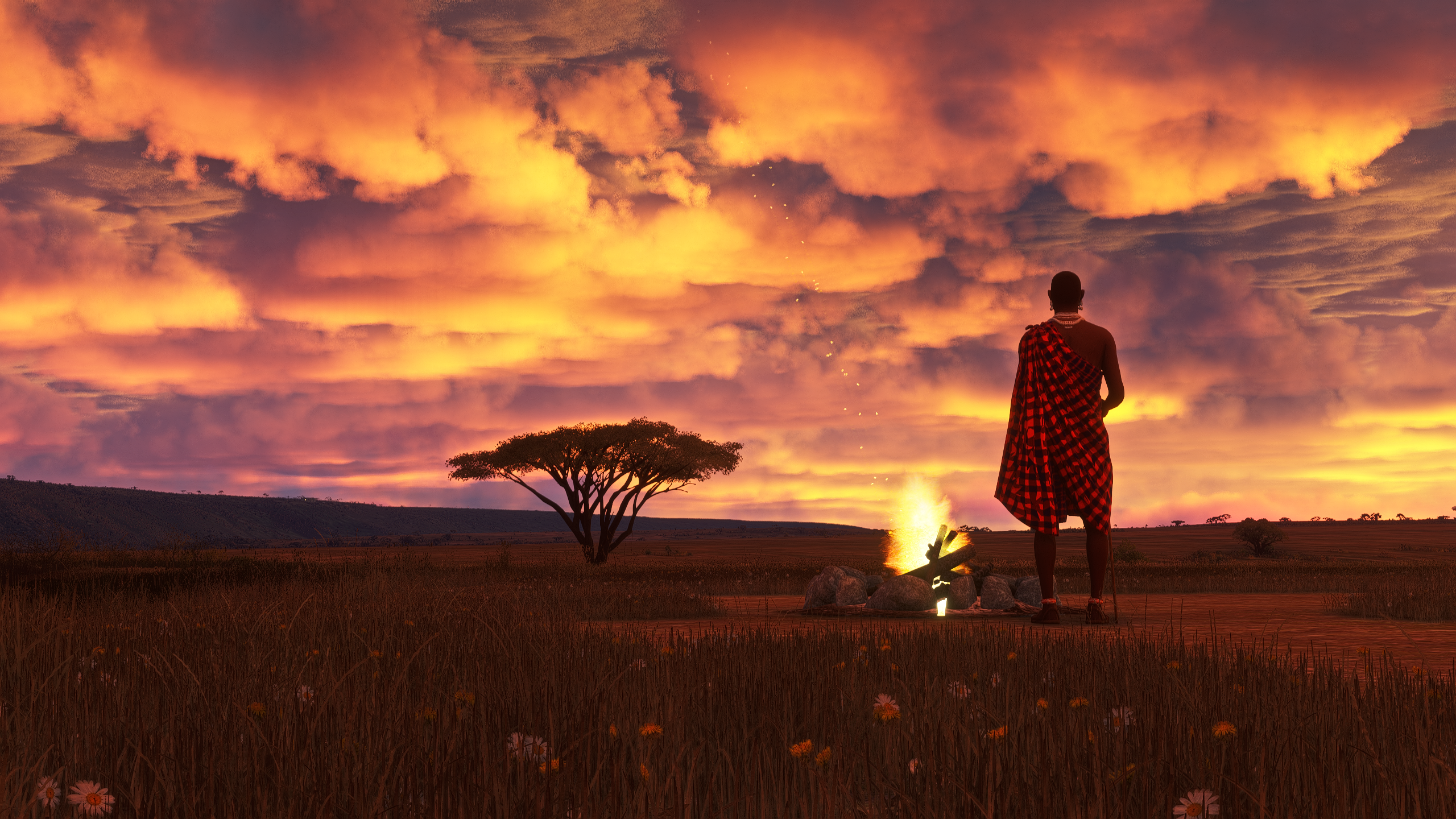 Pack your bags, we are going on safari soon image 1