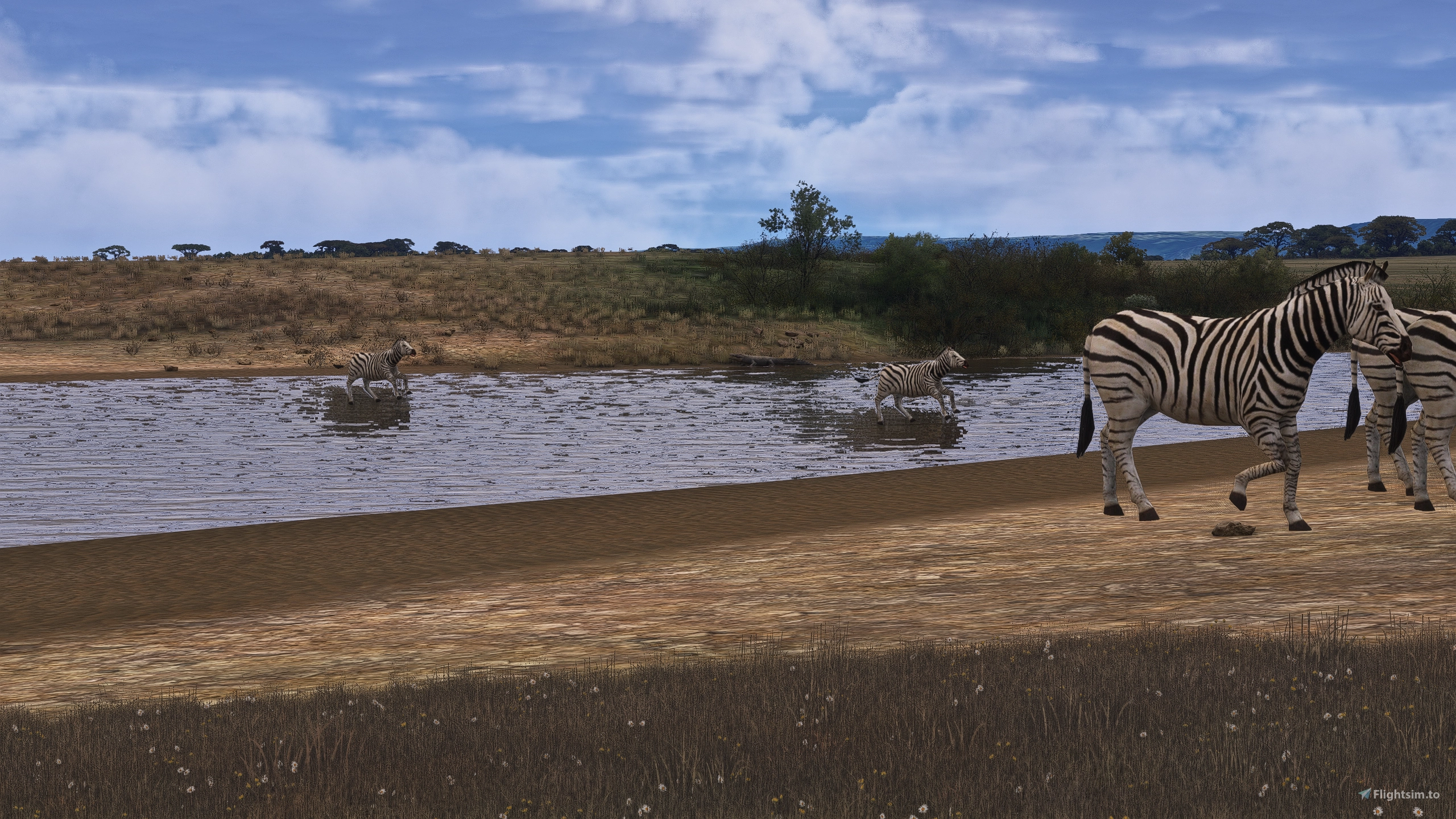 Pack your bags, we are going on safari soon image 2