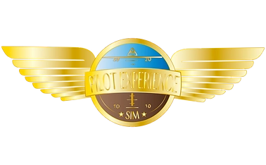 Pilot Experience Sim