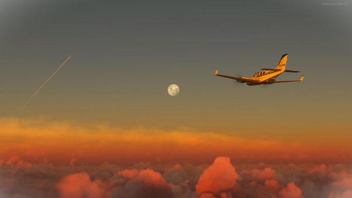 Wallpaper by Falcon12